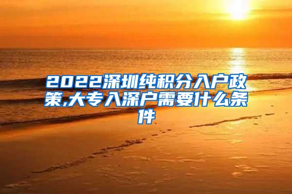 2022深圳純積分入戶政策,大專入深戶需要什么條件