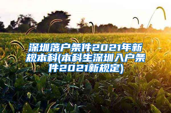 深圳落戶條件2021年新規(guī)本科(本科生深圳入戶條件2021新規(guī)定)