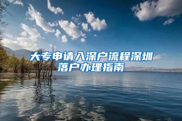 大專申請(qǐng)入深戶流程深圳落戶辦理指南