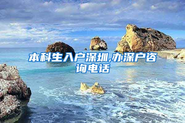 本科生入戶深圳,辦深戶咨詢電話