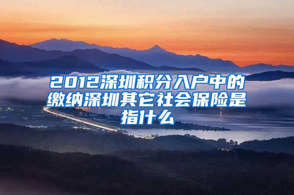 2012深圳積分入戶中的繳納深圳其它社會保險是指什么