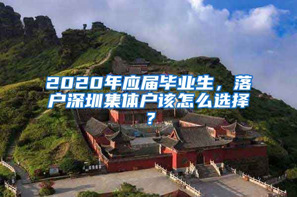 2020年應(yīng)屆畢業(yè)生，落戶深圳集體戶該怎么選擇？