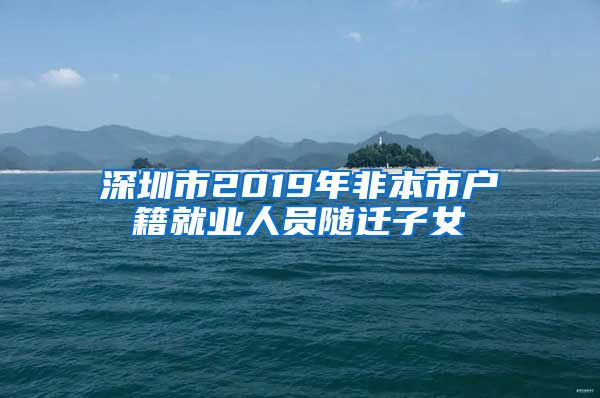 深圳市2019年非本市戶籍就業(yè)人員隨遷子女