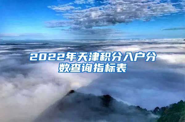 2022年天津積分入戶分?jǐn)?shù)查詢指標(biāo)表