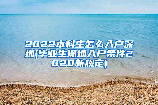 2022本科生怎么入戶深圳(畢業(yè)生深圳入戶條件2020新規(guī)定)