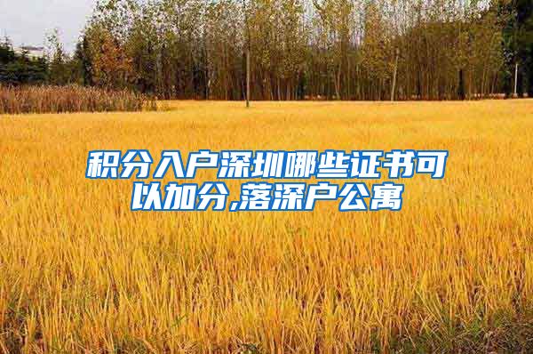 積分入戶深圳哪些證書可以加分,落深戶公寓