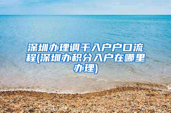 深圳辦理調(diào)干入戶戶口流程(深圳辦積分入戶在哪里辦理)