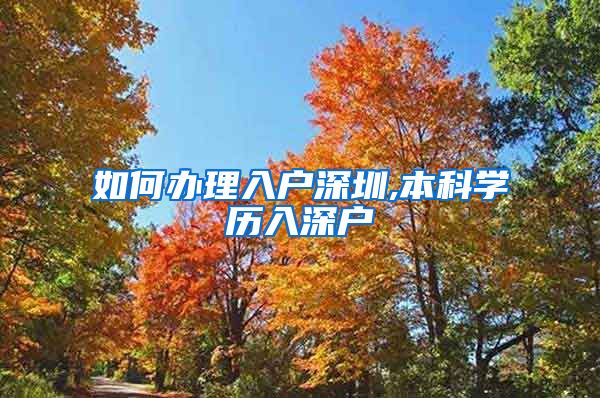 如何辦理入戶深圳,本科學(xué)歷入深戶