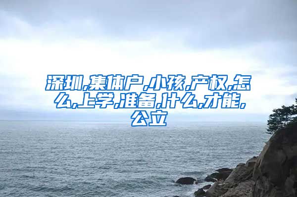 深圳,集體戶,小孩,產(chǎn)權(quán),怎么,上學(xué),準(zhǔn)備,什么,才能,公立