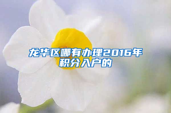 龍華區(qū)哪有辦理2016年積分入戶的