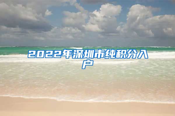 2022年深圳市純積分入戶