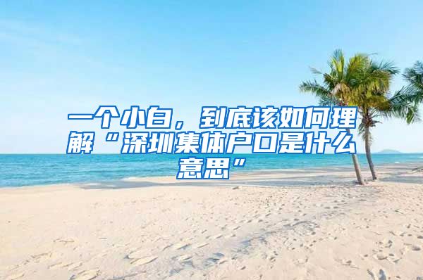 一個小白，到底該如何理解“深圳集體戶口是什么意思”