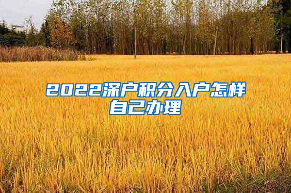 2022深戶積分入戶怎樣自己辦理