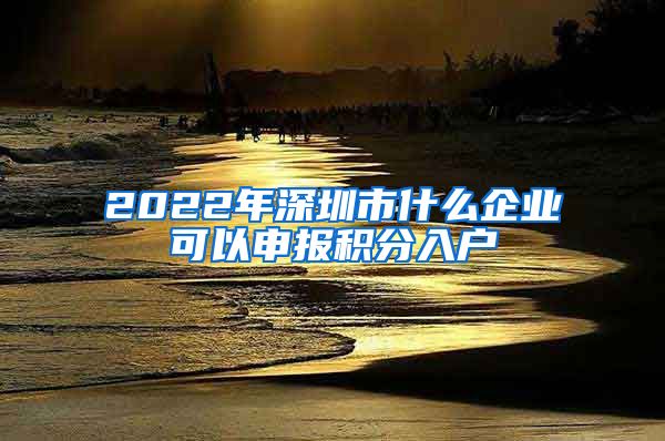 2022年深圳市什么企業(yè)可以申報(bào)積分入戶