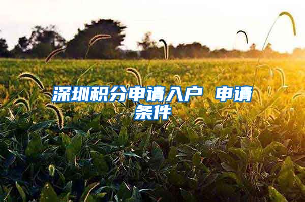 深圳積分申請入戶 申請條件