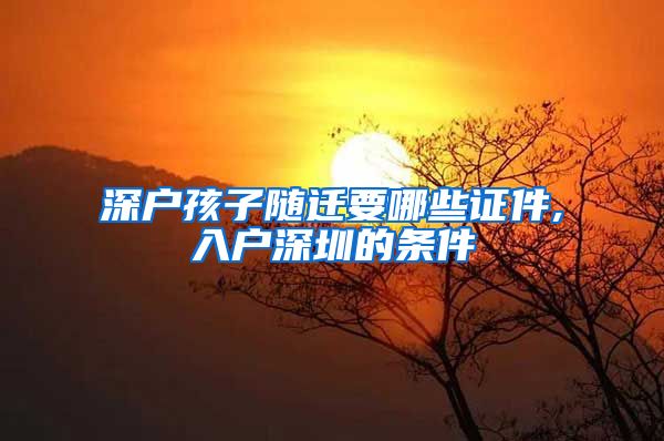 深戶孩子隨遷要哪些證件,入戶深圳的條件