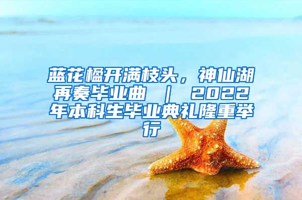 藍(lán)花楹開滿枝頭，神仙湖再奏畢業(yè)曲 ｜ 2022年本科生畢業(yè)典禮隆重舉行