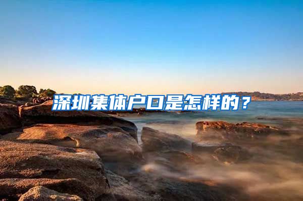 深圳集體戶口是怎樣的？