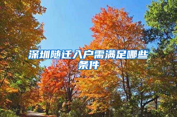 深圳隨遷入戶需滿足哪些條件