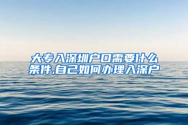 大專入深圳戶口需要什么條件,自己如何辦理入深戶