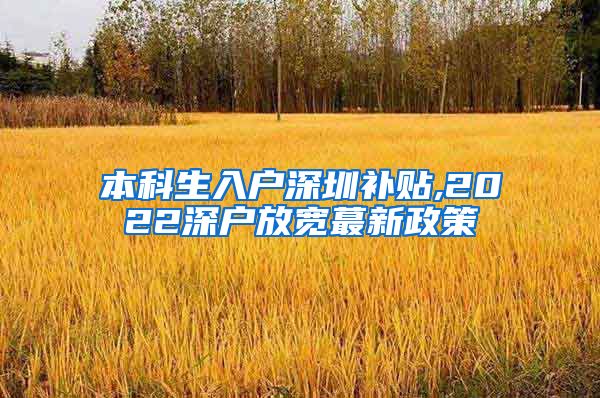 本科生入戶深圳補(bǔ)貼,2022深戶放寬蕞新政策