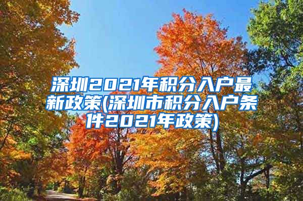 深圳2021年積分入戶最新政策(深圳市積分入戶條件2021年政策)