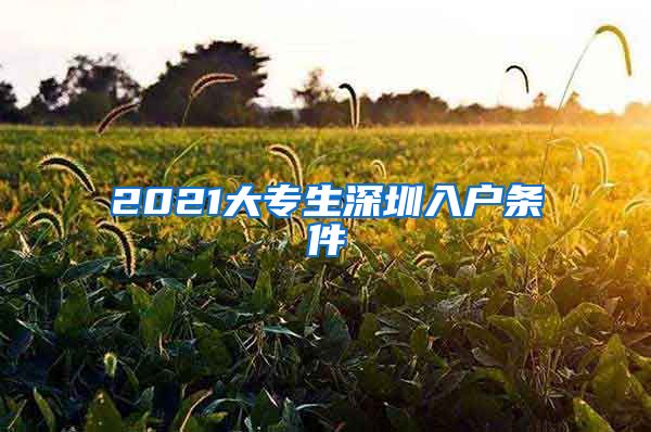 2021大專生深圳入戶條件