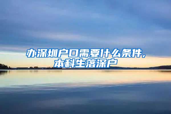 辦深圳戶口需要什么條件,本科生落深戶