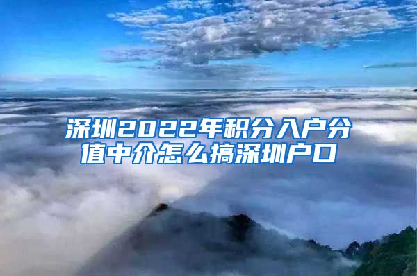 深圳2022年積分入戶分值中介怎么搞深圳戶口