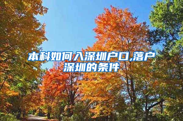 本科如何入深圳戶口,落戶深圳的條件