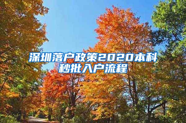 深圳落戶政策2020本科秒批入戶流程