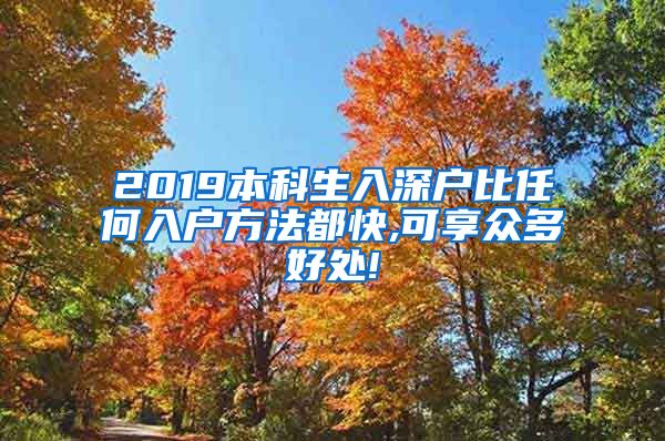 2019本科生入深戶比任何入戶方法都快,可享眾多好處!