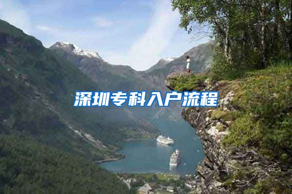 深圳?？迫霊袅鞒?/></p>
			 <p style=