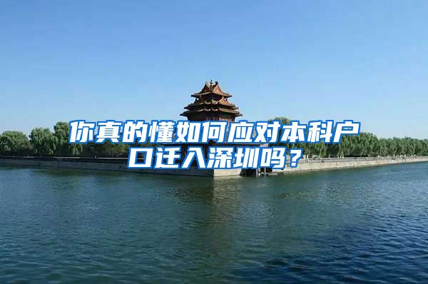 你真的懂如何應(yīng)對(duì)本科戶口遷入深圳嗎？