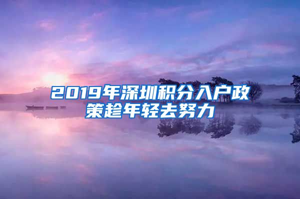 2019年深圳積分入戶政策趁年輕去努力