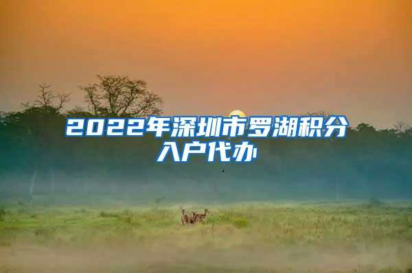 2022年深圳市羅湖積分入戶代辦