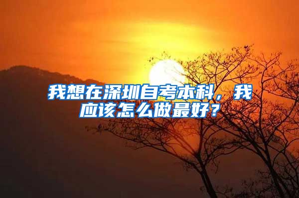 我想在深圳自考本科，我應(yīng)該怎么做最好？