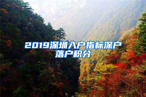 2019深圳入戶指標深戶落戶積分