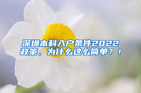 深圳本科入戶條件2022政策，為什么這么簡(jiǎn)單？！