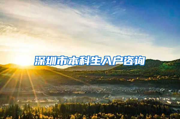 深圳市本科生入戶咨詢