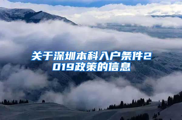 關(guān)于深圳本科入戶條件2019政策的信息