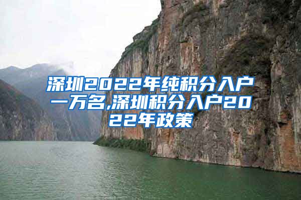 深圳2022年純積分入戶一萬名,深圳積分入戶2022年政策