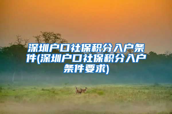 深圳戶口社保積分入戶條件(深圳戶口社保積分入戶條件要求)