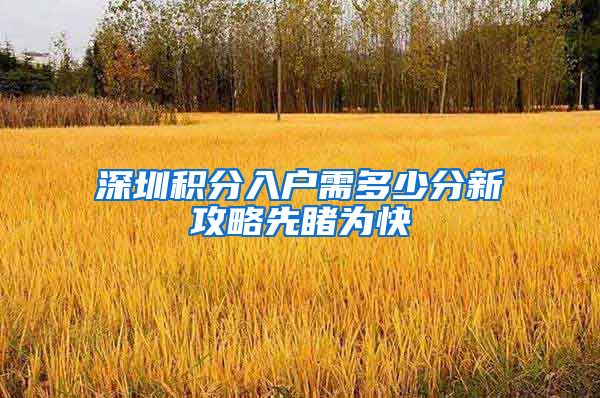 深圳積分入戶需多少分新攻略先睹為快