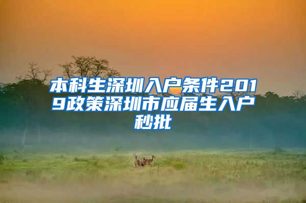 本科生深圳入戶條件2019政策深圳市應屆生入戶秒批