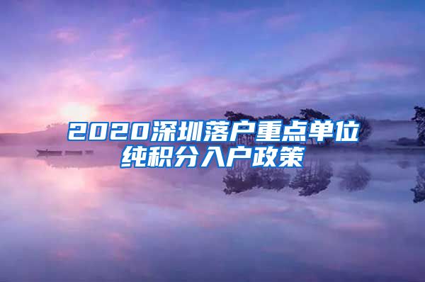 2020深圳落戶重點單位純積分入戶政策