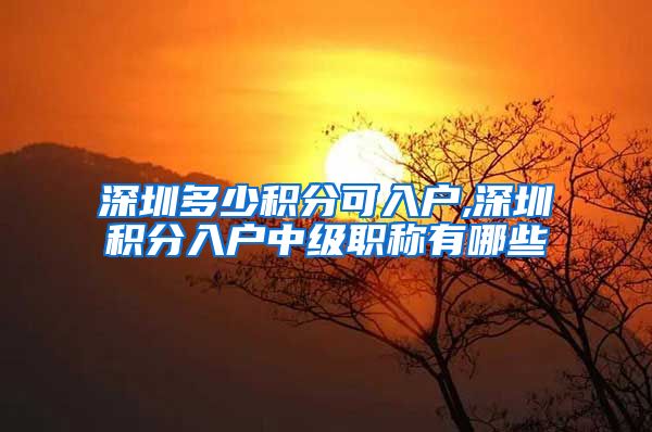 深圳多少積分可入戶,深圳積分入戶中級(jí)職稱有哪些