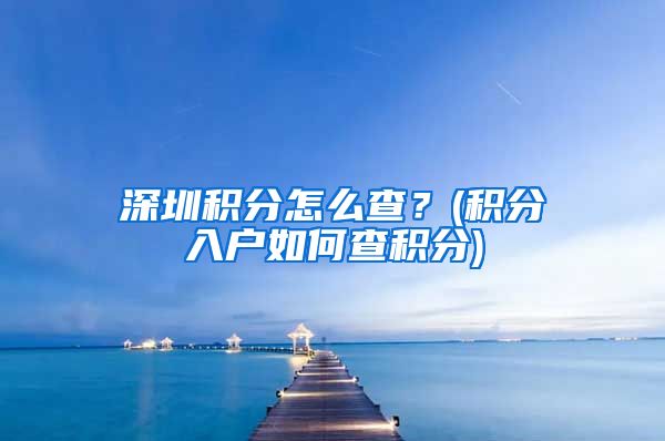 深圳積分怎么查？(積分入戶如何查積分)