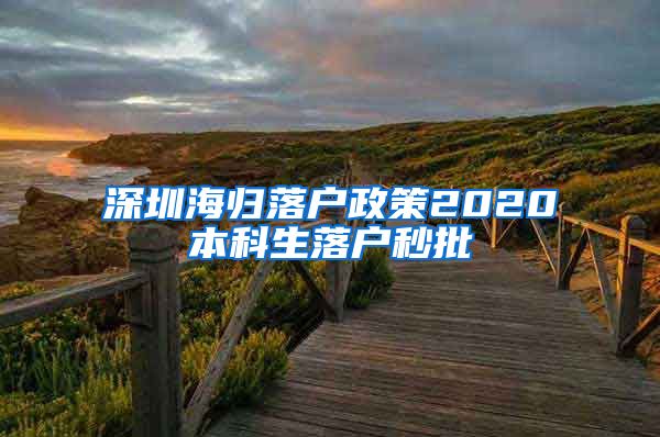 深圳海歸落戶政策2020本科生落戶秒批