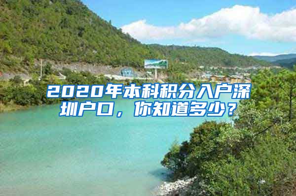 2020年本科積分入戶深圳戶口，你知道多少？